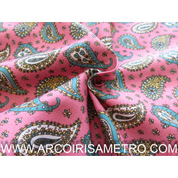 HUBBLE AND ROSE - CORNUCOPIAS ON PINK