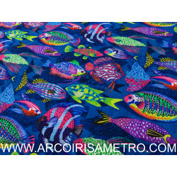 CORIS - MULTICOLOR FISH