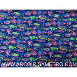 CORIS - MULTICOLOR FISH