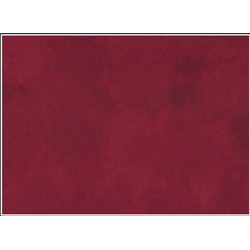 Quilters Shadow 4516-409