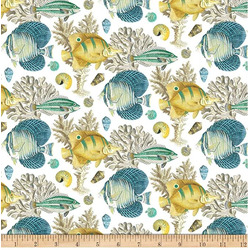 CURAÇAO 1 - FISH AND CORALS