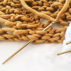 PONY - CHAZIDRA CASE