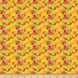 STOF - CHATAIGNE 2 - AUTUMN