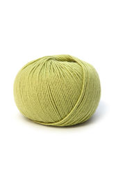DMC - Merino Essentiel 4 - Green 868