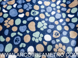 Polar carpelio - paws