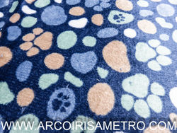 Polar carpelio - paws