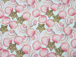 CURIOSEA 2 - Shells and starsfish