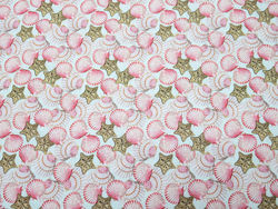 CURIOSEA 2 - Shells and starsfish