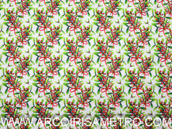 Digital print - mistletoe