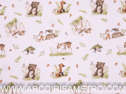 VAIELA - Bears and Foxes