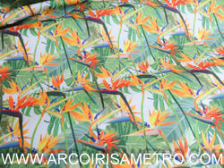 POLI-CANVAS  - BIRD OF PARADISE