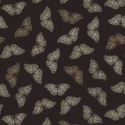 BLANK -  3532-99 Black || Natures Whisper Carissa Bordeleau 