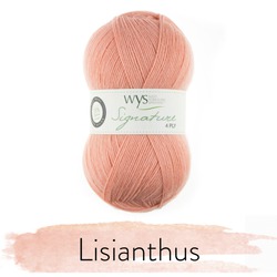 WYS SIGNATURE 4 PLY - FLORIST COLLECTION  -281 LISIANTHUS