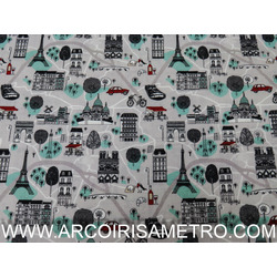 PENICHE 1 - MAPA DE PARIS