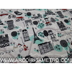 PENICHE 1 - MAPA DE PARIS