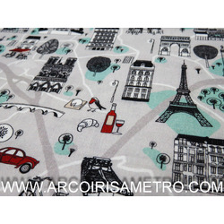 PENICHE 1 - MAPA DE PARIS