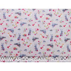 COLEÇAO GOTAS - COELHINHOS