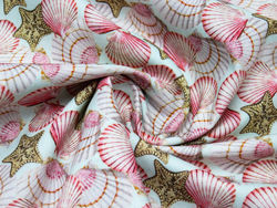 CURIOSEA 2 - Conchas e estrelas