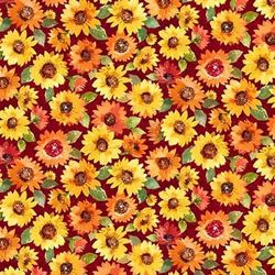 MICHAEL MILLER - Mini sunflowers
