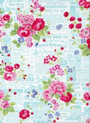 LakeHouse - Pam Kitty Garden