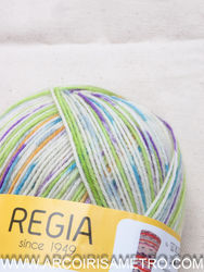 Regia - 4-ply Color 4091