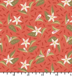 EQP - BEYOND TIME - BT 24 12 01 Jasmine - Tomato