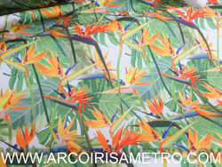 Poli-Canvas ESTRELICIA