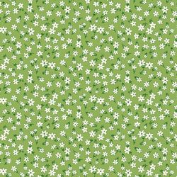 Marcus - Aunt Grace Garden