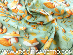 TECIDO DIGITAL - RAPOSAS