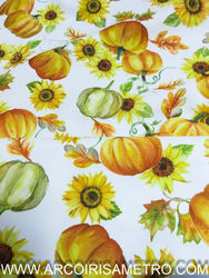 Tecido anti-mancha - ABOBORAS