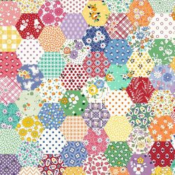 MARCUS  - AUNT GRACE GOES SCRAPPY - R351524D MULTI